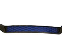Acura 71106-T3R-A01 Front Lower Grille