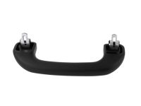 Acura 83240-SNA-A01ZE Grab Rail Assembly (Graphite Black) Acura 83240-SNA-A01ZE Grab Rail Assembly (Graphite Black)