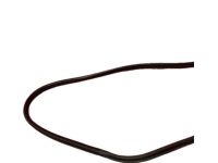 Acura 72315-S6M-013 Seal, Right Front Door Opening Acura 72315-S6M-013 Seal, Right Front Door Opening