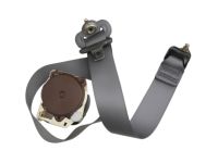 Acura 04864-S3V-307ZB Outer Set Passenger Side (Saddle)