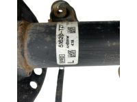 Acura 51406-TZ7-A11 Left Front Coil Spring Acura 51406-TZ7-A11 Left Front Coil Spring