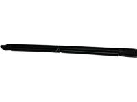Acura 72875-TGV-A01 Weatherstrip, Left Rear