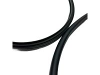 Acura 72350-TGV-A01 Weatherstrip, Left Front Acura 72350-TGV-A01 Weatherstrip, Left Front