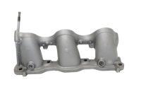 Acura 17050-RYE-A00 Base, Front Injector