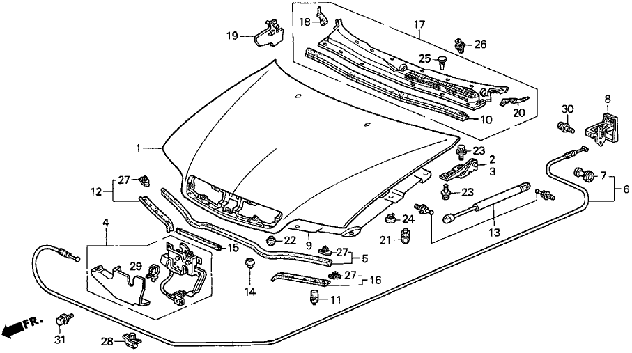 Acura 74194-SY8-A00 Rubber, Driver Side Hood Seal