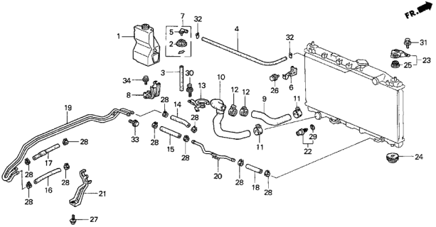 1997 Acura TL Radiator Hose Diagram