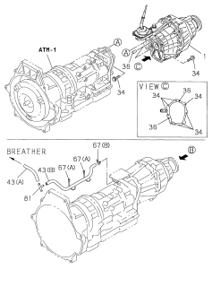 1999 Acura SLX Pipe, Breather (Three-Way) Diagram for 8-94211-900-1