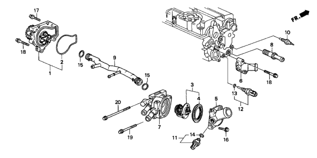 2001 Acura Integra Water Pump Connecting Pipe Diagram for 19505-PR3-000