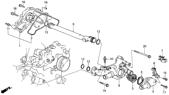 1988 Acura Legend Water Pump Diagram