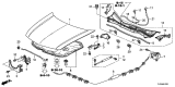 Diagram for Acura Lift Support - 74145-TL0-G00