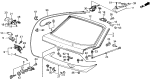 Diagram for 1988 Acura Integra Door Hinge - 85250-SD2-000ZZ