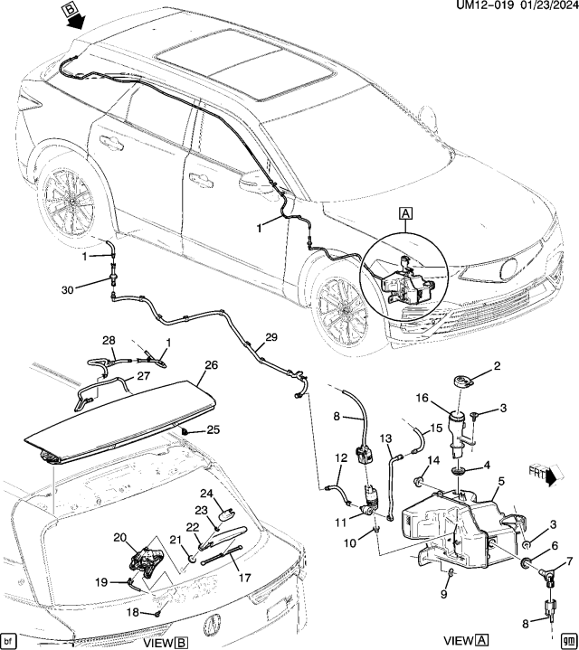 2024 Acura ZDX HOSE ASM-R/WDO WA NO Diagram for 86823918