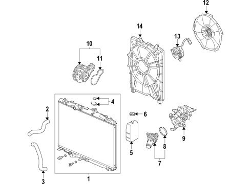 2021 Acura TLX Water Pump Diagram for 19200-6S9-A01
