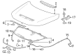 Diagram for Acura Hood - 60100-31M-A00ZZ