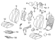 Diagram for 2024 Acura TLX Seat Cover - 81131-TGV-X41ZE