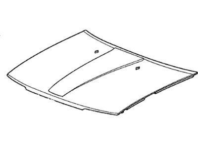Acura Hood - 06601-SD4-316ZZ