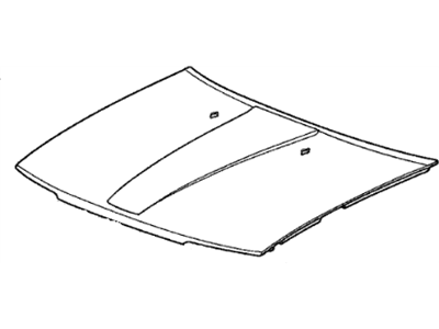 Acura 06601-SD4-316ZZ Hood (Dot)