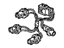 Acura 33552-SW5-A01 Socket, Driver Side