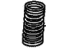 Acura 14761-RKG-003 Spring, Valve (Pink) (Nippon Hatsujo)