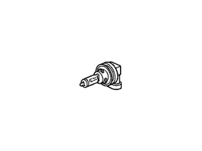 Acura Fog Light Bulb - 33165-STK-A01