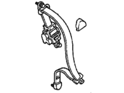 08P21-S3M-20003 Acura Molding, Right Rear Fender Illustration 1 of 1