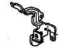 Acura 21516-RAY-000 Stay A, Temperature Sensor Harness (ATF)