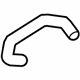 Acura 19506-RL5-A01 Water Hose (Lower)