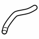 Acura 19501-RKG-A10 Water Hose (Upper)