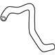 Acura 19502-P8E-A00 Water Hose (Lower)