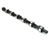 Acura SLX Camshaft